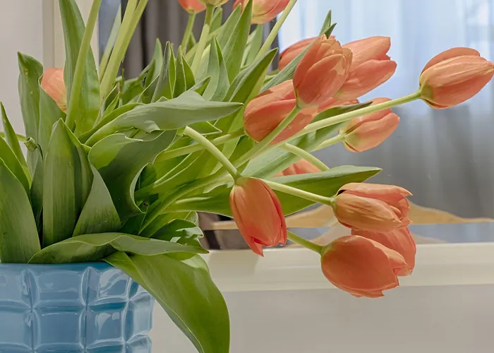 Apart-hotel Luna Miramar Club Albufeira