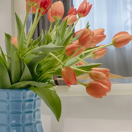 公寓式酒店 Luna Miramar Club 阿尔布费拉